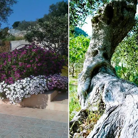 Mon Plaisir Semesterbostad Monte SantʼAngelo